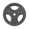 CAP Barbell Cast Iron 1" Standard Grip Plate for Strength Training