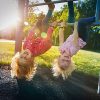 Healthy Kids, Happy Kids: IP67 Waterproof Fitness Tracker Watch