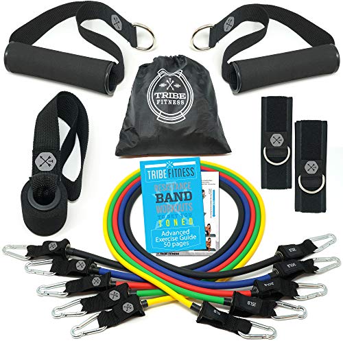 TRIBE PREMIUM Resistance Bands Set for Exercise, Workout Bands