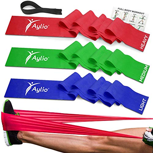 Premium Exercise Bands and Door Anchor | Fitness, Physical Therapy