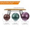 SportShiny Pro Balance Ball Chair – Exercise Stability Yoga Ball