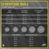 URBNFit Exercise Ball (65 cm) for Stability & Yoga
