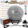 RGGD, RGGL Exercise Ball Chair(55-75cm)