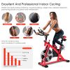 Goplus Indoor Cycling Bike, Stationary Bicycle Exercise Bike