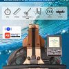 Water Rowing Machine - Adjustable Resistance, Bluetooth Monitor, American Ash Wood