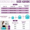 Mind Body Future Professional Grade Exercise Ball