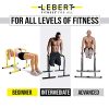 Lebert Fitness Dip Bar Stand - Original EQualizer Total Body Strengthener