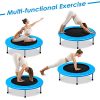 Giantex Mini Fitness Trampoline for Adults and Kids