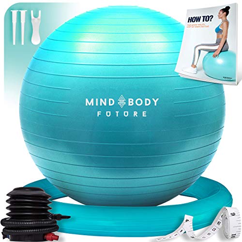 Mind Body Future Professional Grade Exercise Ball
