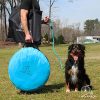 Lord Anson Dog Agility Set - Dog Agility Equipment