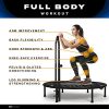 FITPULSE Mini Trampoline for Adults – Indoor Rebounder Trampoline with Handle for Fitness & Weight Loss