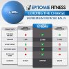 Epitomie Fitness Active Balance Exercise Ball with Resistance Bands & Hand Pump