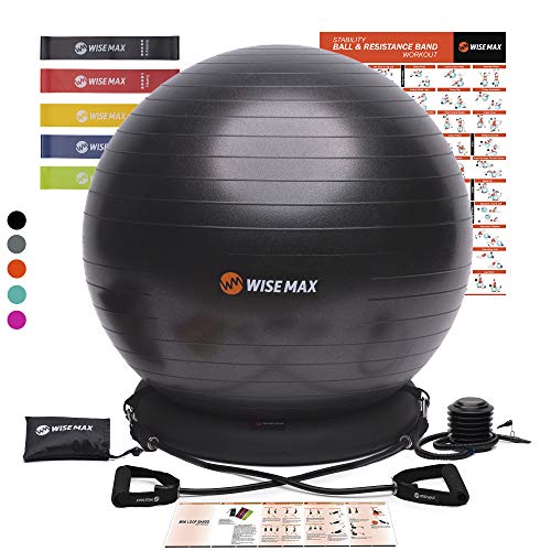 WISEMAX Exercise Ball Chair – Stability Yoga Balance Ball