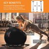 Sporus Exercise Ball Chair (65cm), Yoga Ball for Office and Fitness