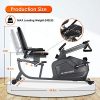 MaxKare Recumbent Exercise Bike Magnetic Indoor Stationary Bike