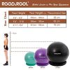 RGGD, RGGL Exercise Ball Chair(55-75cm)