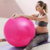Exercise Ball Yoga Ball Equipment 65cm - Great for Balance, Fitness