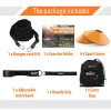 Scandinavian Sports Bungee Resistance Speed Band Set