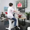 FLEXISPOT Home Workstation Desk Bike Stand up