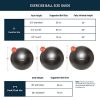 Retrospec Luna Exercise Ball, Base, Pump with Anti-Burst Material