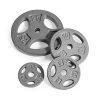 CAP Barbell Standard 1-Inch Grip Weight Plates, Single