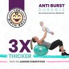 The Birth Ball - Birthing Ball for Pregnancy, Labor