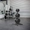 Plate and Dumbbell Racks Tree Olympic Plate Rack Weight