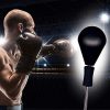 Protocol Best All-in-one Boxing Set | Solid EVA Foam Punching Ball