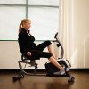 Sunny Health & Fitness Magnetic Recumbent Exercise Bike