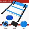 Agility Ladder Speed Training Equipment, Includes 12 Rung Agility Ladder