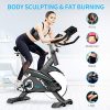 pooboo Indoor Belt Drive Exercise Bike Stationary