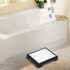 Bluestone  Indoor and Outdoor Mobility Step