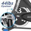 Indoor Exercise Bike 44lbs Flywheel Quiet Belt Drive