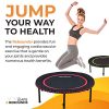 Leaps & ReBounds: Rebounder - Fitness Trampoline