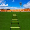 Professional Speed Agility Ladder for Teens - 12 Rung 20ft