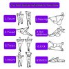 KIKIGOAL Pilates Resistance Band and Toning Bar Home Gym