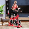 GYMAX Indoor Exercise Bike, Stationary Cycling Bike