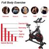 VIGBODY Exercise Bike Indoor Cycling Bike Adjustable