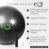 Dark Grey 65cm Exercise Ball, Rose Gold Water Bottle