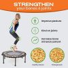 FIT BOUNCE PRO USA Bungee Rebounder | Ready Assembled