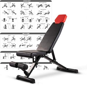 Adjustable Workout Bench for Home Gym Weight Bench