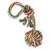 CHEERING PET Dog Agility Equipment, 28 Piece Dog Obstacle