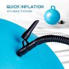 Extra Thick Jumping Ball with Non-Slip Handle