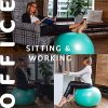KARIKUN Exercise Ball, 65cm Yoga Ball, Medicine Ball Chair for Fitness