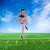 AcceleRayte Agility Ladder Set. Perfect Football Workout Equipment Kit.