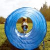 CHEERING PET Dog Agility Equipment, 28 Piece Dog Obstacle