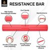 DMoose Fitness Flex Bar