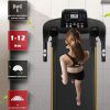 Gym Cardio Workout Folding Electric Treadmill Fitness