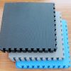 Puzzle Exercise Mat with EVA Foam Interlocking Tiles