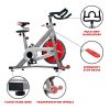 Sunny Health & Fitness Spin Bike Pro Indoor